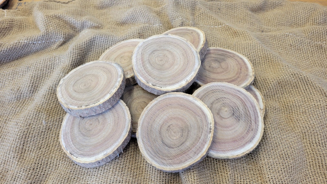 10 Wood Slices From Mimosa for Painting Wood Burning Ornaments Arts Crafts Free Shipping Etsy