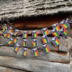 Progress Pride flag garland- small flags
