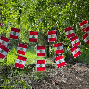 Peru flag garland