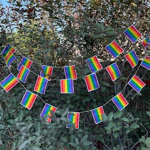 Pride flag garland- small flags