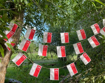 Singapore flag garland