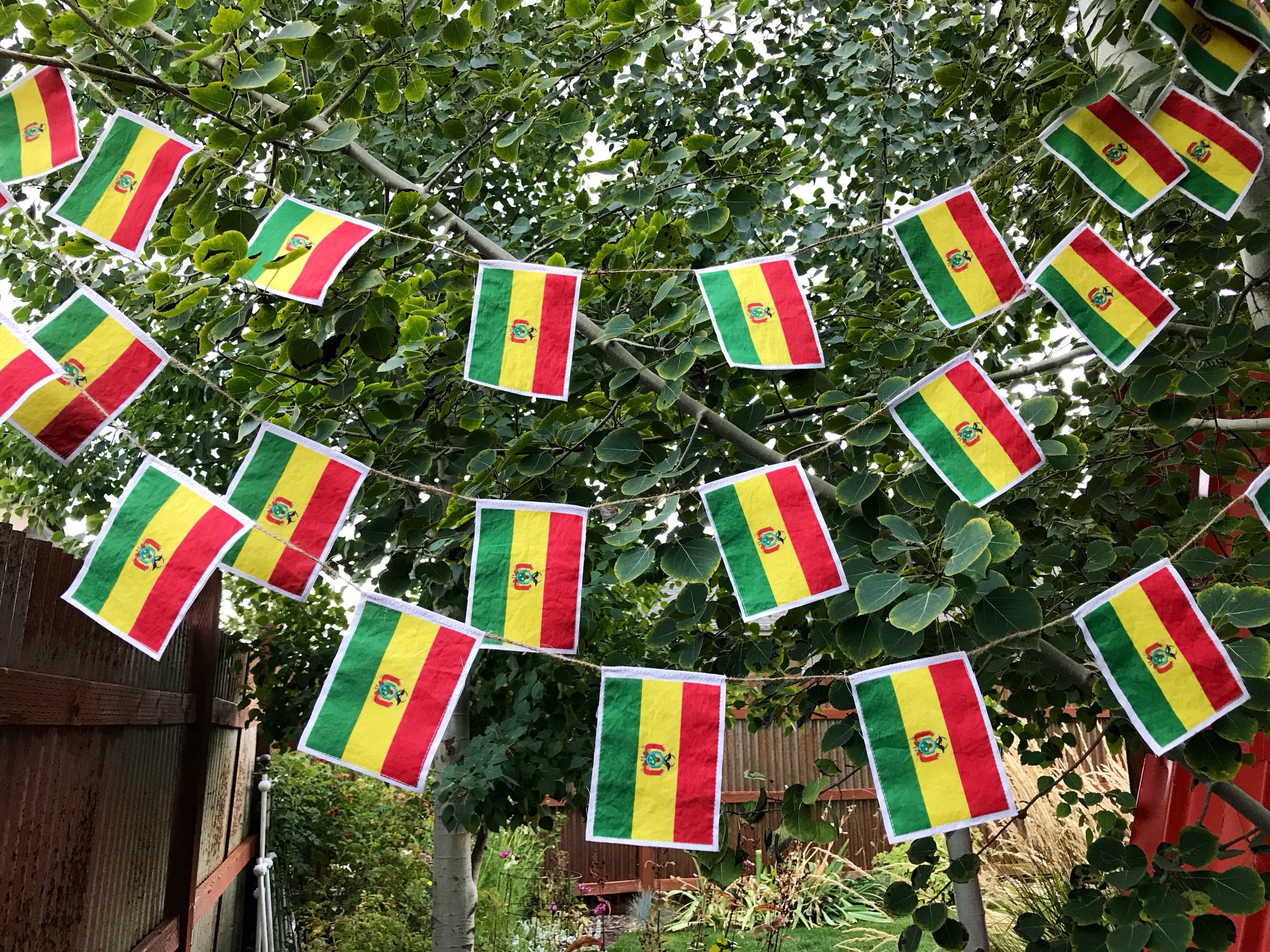 Bolivian flag garland
