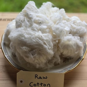 Raw Australian Cotton