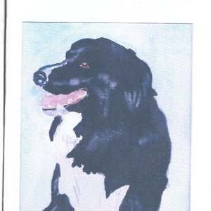 biglietto d'auguri Border Collie copia dell'originale di Keith Hardy