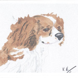cartão de boas vindas. cavalheiro King Charles Spaniel (cadela)
