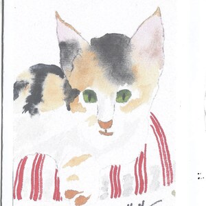 cartões de felicitações gatinho tartaruga