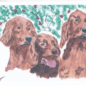 Biglietto d'auguri. Setter rosso irlandese. Copia di un'opera originale di Keith Hardy