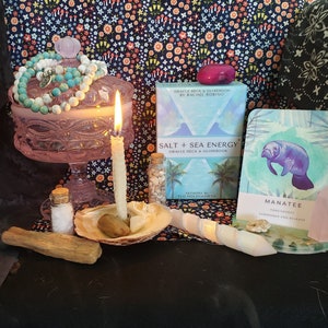 Leitura do Oracle - leitura do Oracle Deck Salt + Sea Energy