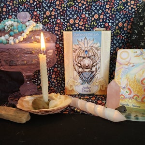 Lectura de Oracle: lectura de Seeker Oracle Deck Ravynne Phelan