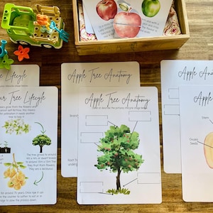 Fruit Unit Study Homeschool, Educational Resource, Morning Basket, Curriculum, Activity pack, Nature Study