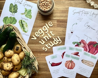 Vegetable Unit Study Homeschool / Educational Resource