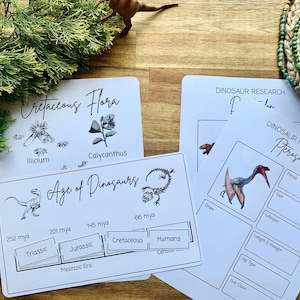Könnte beinhalten: Ein Satz druckbarer Dinosaurier-Lernmaterialien für Kinder. Die Karten zeigen Illustrationen von Dinosauriern, Pflanzen und eine Zeitleiste des Mesozoikums. Die Karten enthalten den Text "Kreidezeitliche Flora", "Illicium", "Calycanthus", "Zeitalter der Dinosaurier", "Trias", "Jura", "Kreidezeit", "Menschen", "Mesozoikum", "Dinosaurierforschung" und "Flugsaurier".