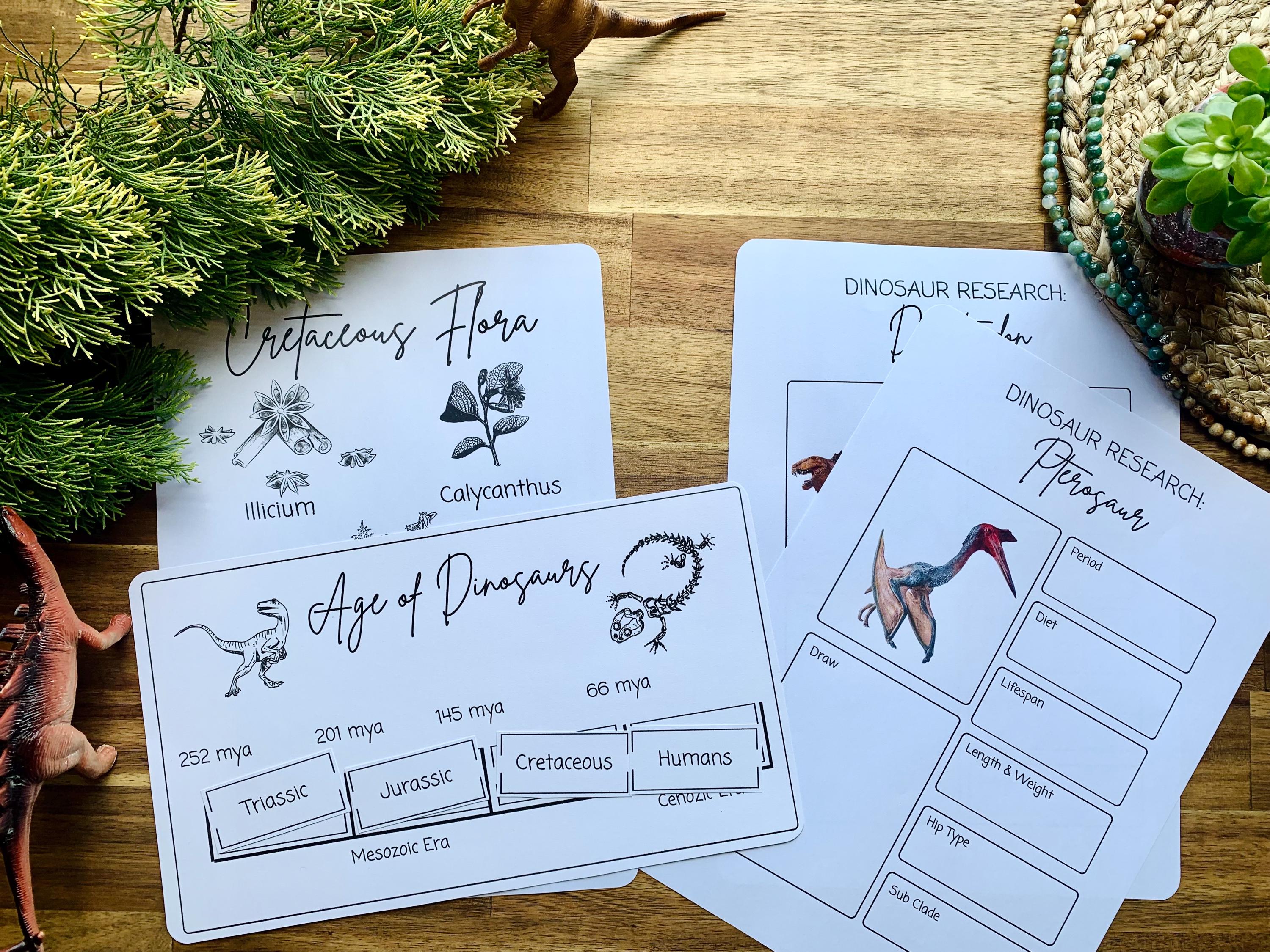 Dinosaur Unit Study, Homeschool Unit Study, Educational Resource, Curriculum, Morning Basket, Nature Study, Unit Study Pack, Activity Pack