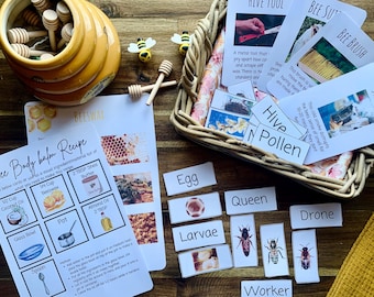 Estudio de la unidad de la abeja melífera Actividades de verano para la educación en casa Apicultor Ciclo de vida de la abeja y anatomía, Tarjetas didácticas de la abeja melífera, Diario de estudio de la naturaleza