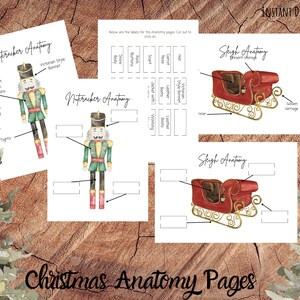 Christmas Anatomy Pack, Homeschool Educational Resource, Curriculum, Morning Basket, Nature Study, Unit Study Pack, Activity Pack