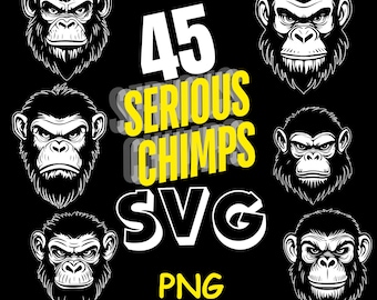 45 serious chimpanzees, digital designs PNG, 300 DPI transparent background PNG, nature, animals, chimps, savannah