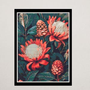 Protea Kreuzstichmuster PDF | Australische Ureinwohner Blumenstickerei | Nadelspitze | DMC-Diagramm | Sofortiger digitaler Download