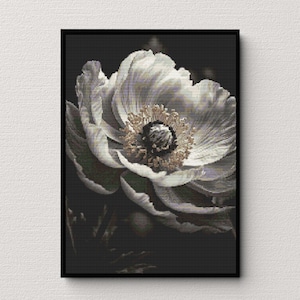 Puede incluir: Primer plano de una flor de amapola blanca sobre un fondo oscuro. La flor tiene pétalos delicados y un centro de color dorado.