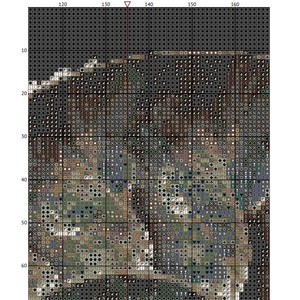 May include: A cross-stitch pattern featuring a seashell with a detailed design of various colors, including brown, green, white, and black.