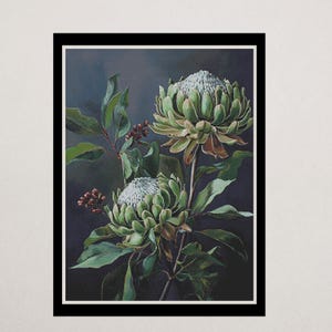 May include: A botanical painting featuring two large protea flowers with green and white petals, surrounded by green leaves and small red buds. The artwork is set against a dark, moody background, framed in black and white.