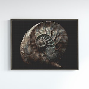 May include: A close-up of a fossilized nautilus shell with intricate patterns in shades of brown, green, and blue against a black background.