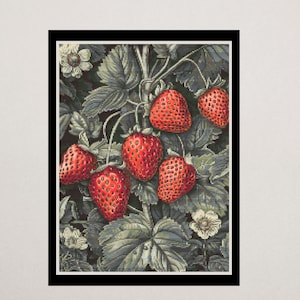 Erdbeere Kreuzstich Muster PDF | Vintage botanische Fruchtstickerei | DMC-Diagramm | Digitaler Download | Garten-Küchen-Wand-Kunst