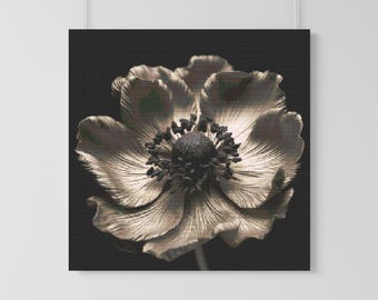 May include: A close-up of a single, delicate, white flower with a dark centre, against a black background. The flower has a layered, textured appearance, resembling petals.