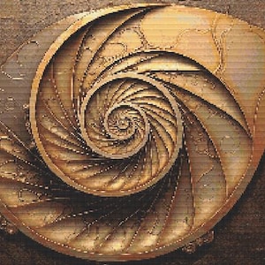 May include: A golden nautilus shell with a spiral pattern. The shell is a natural object with a smooth, textured surface.