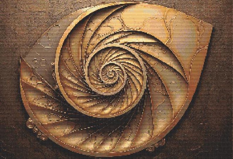 May include: A golden nautilus shell with a spiral pattern. The shell is a natural object with a smooth, textured surface.