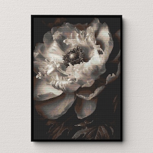 May include: A black and white photograph of a single white flower with a dark center. The flower is in focus and the background is blurred.