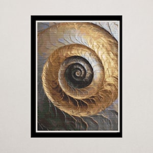 May include: A close-up of a golden seashell with a spiral pattern. The shell has a textured surface and a dark center.
