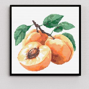 Patrón de punto de cruz de albaricoque en PDF / Diseño de bordado de fruta en acuarela / Punto botánico moderno / Gráfico digital de descarga instantánea