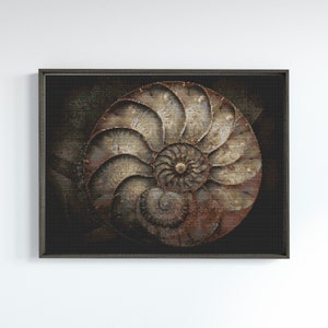 May include: A close-up of a nautilus shell with a spiral pattern. The shell is a dark brown color with hints of gold and white. The shell is framed in a dark wood frame.