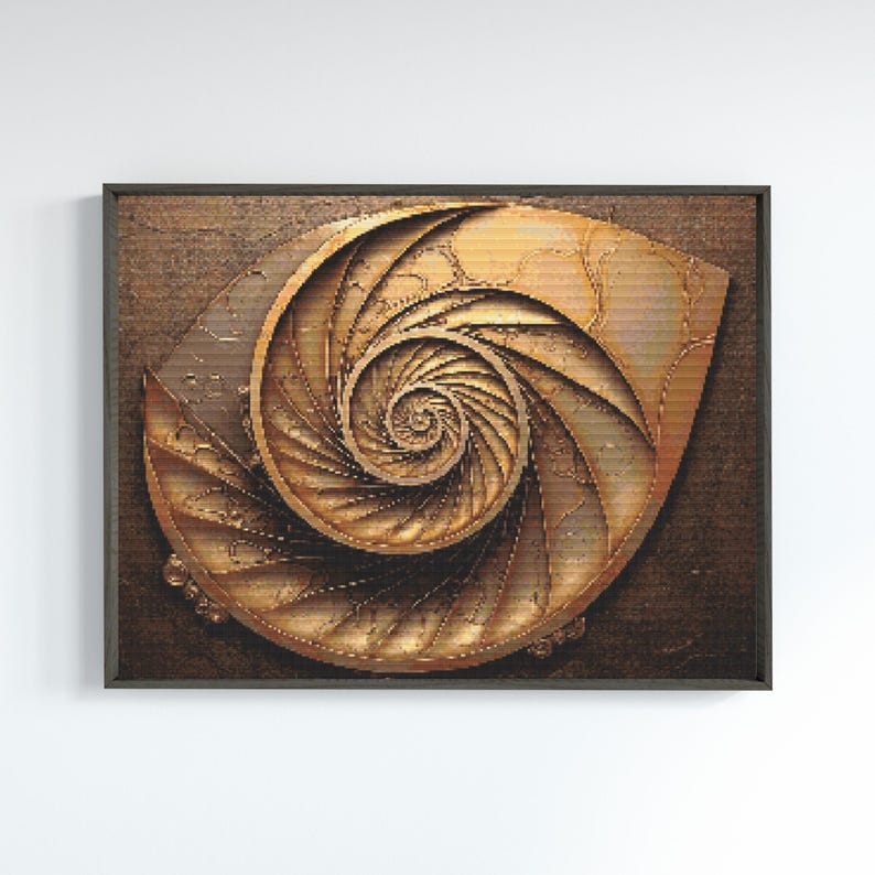 May include: A golden brown nautilus shell with a spiral pattern, set against a dark brown background.