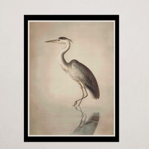 May include: A framed print featuring a detailed illustration of a Great Blue Heron. The bird is depicted in shades of gray and blue, standing in water with its reflection visible. The artwork is set against a soft, neutral background.