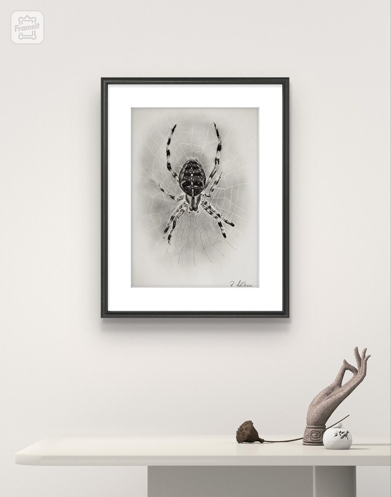 Mix Media Drawing With Charcoal Pencil (spider), Graphite Powder and ...