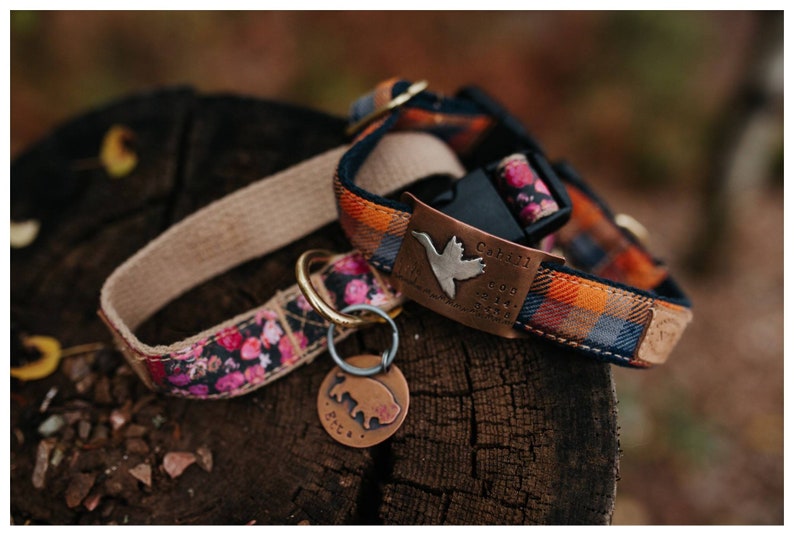 Archer Quiet Collar Tag Unique Duck Hunting Dog Tag Etsy