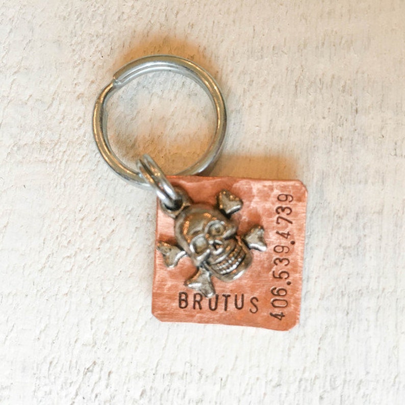 pigs Hand-stamped Metal Pet Tag for dogs The Bad Ass Tag ferrets cats horses
