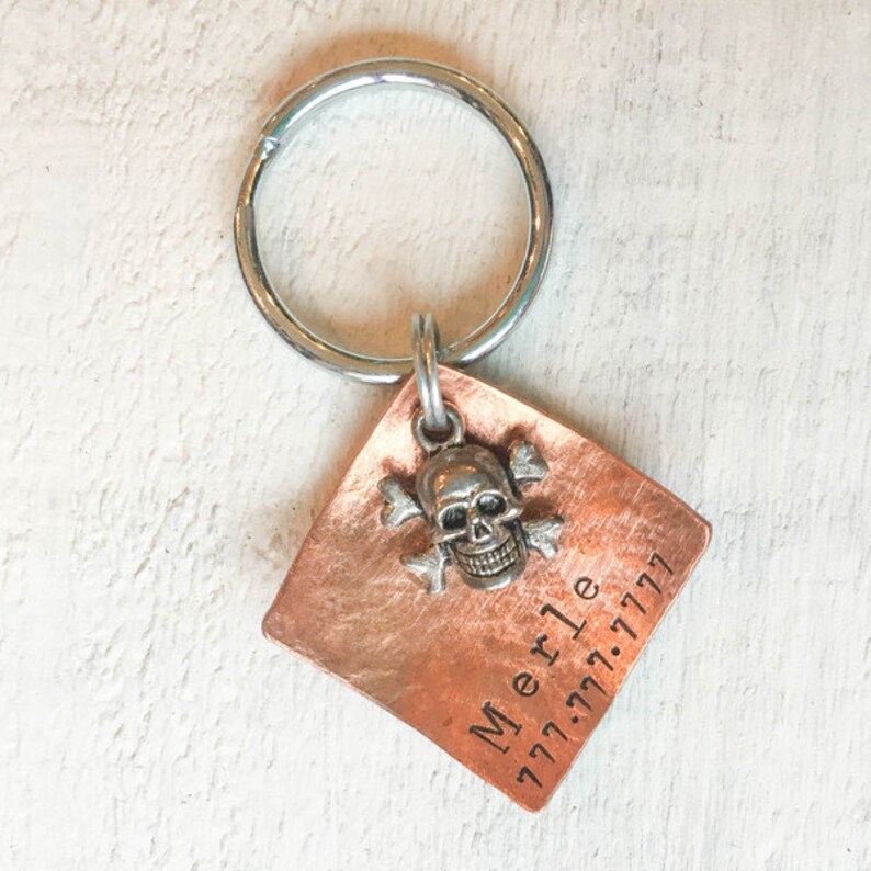 pigs Hand-stamped Metal Pet Tag for dogs The Bad Ass Tag ferrets cats horses