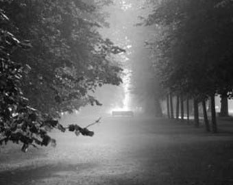 Hyde Park Dawning - Original  Fine Art Photograph