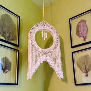 Shell Dreamcatcher - Etsy Shell Dreamcatcher - Etsy