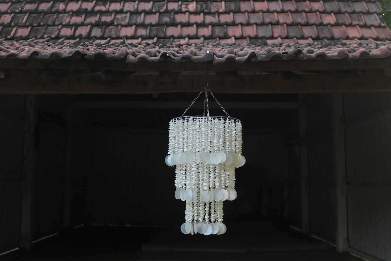 Soft Shell Chandelier