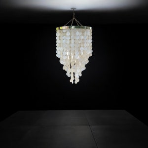 May include: A white shell chandelier with a gold metal frame hangs from the ceiling in a dark room.