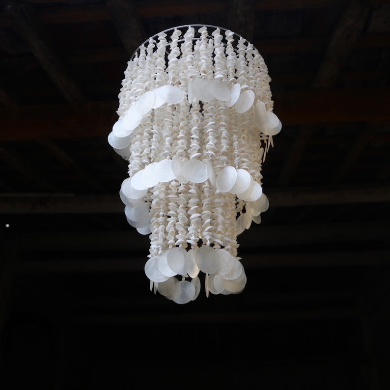 Soft Shell Chandelier main image 1