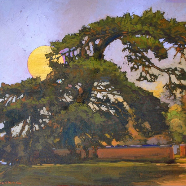 Old Pine - Giclee Fine Art PRINT of Original Painting matted to 16x20 by Jan Schmuckal Wall Art
