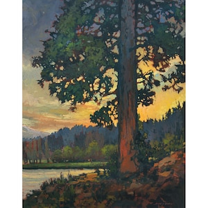 Old Veteran - Giclee Fine Art PRINT of Original Painting matted to 16x20 by Jan Schmuckal Pines Sunset Wall Art