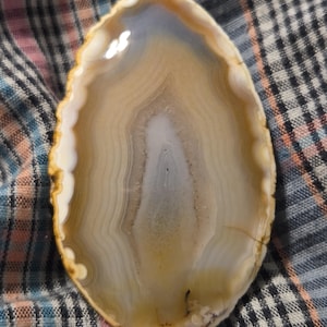 May include: A polished agate stone slice with concentric bands of beige, white, and gray. The stone has a natural, organic shape and a smooth, glossy surface. The outer edge is a creamy white color.