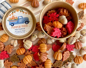 Toasted Pumpkin Spice Wax Melts: Fall Leaves & Acorn Soy Wax Mini Embeds