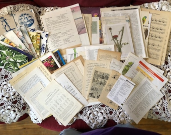 Junk Journal Paper Kit #4 83 Pieces 11 oz Music Nature Birds Garden Recipes Languages Readers Shorthand Napkins Numbers Architecture
