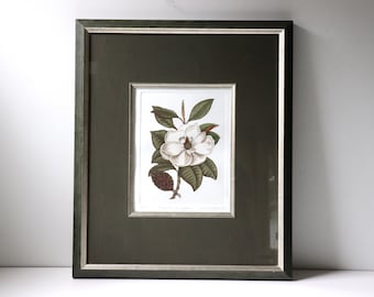 Vintage Magnolia Litho Print Lithograph Framed Floral Illustration; Numbered and Signed Artwork Wall Decor